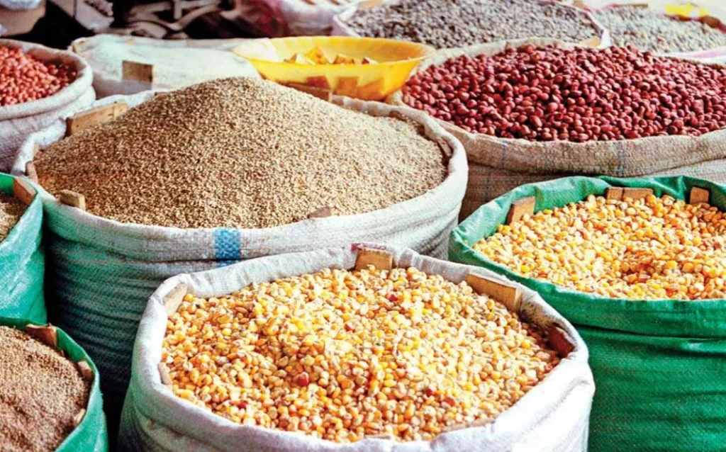 Food Storage in India