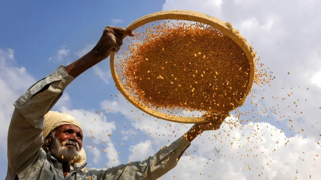 Food Storage by Indian Government