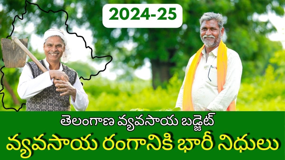 Telangana Budget for Farming 2024-25