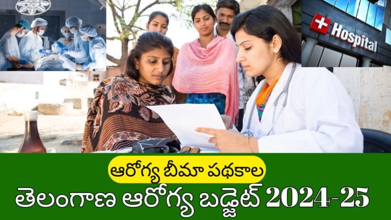 telangana-health-budget-2024-25